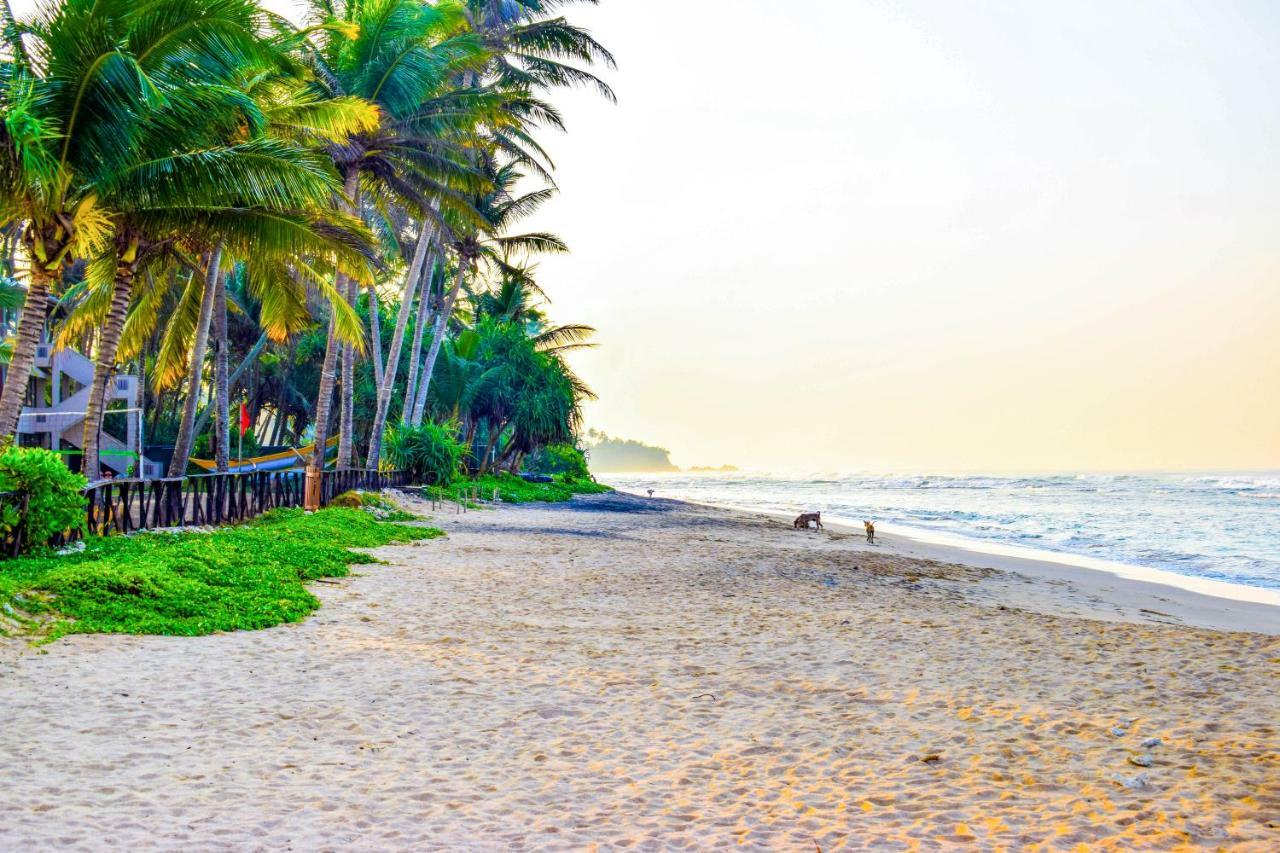 Insight Resort Ahangama - S&S Other Certified Ngoại thất bức ảnh